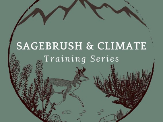 Logo for Sagebrush and Climate Training Series