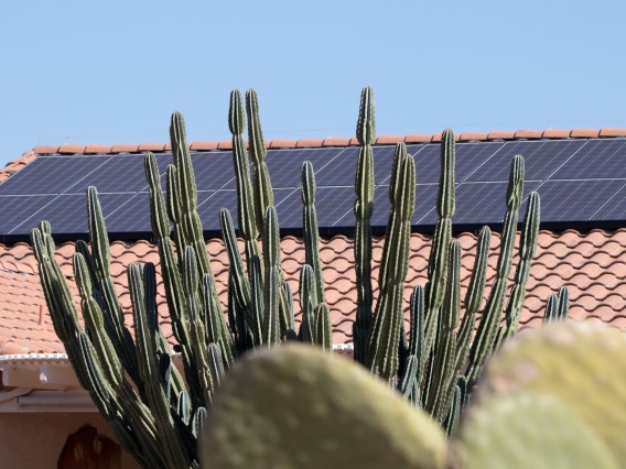 Solar panels in the desert southwest