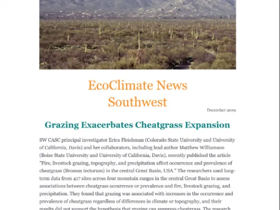 Screenshot of December 2019 newsletter.