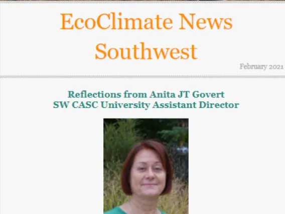 Screenshot of February 2021 newsletter.