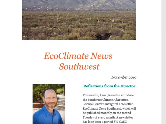 Screenshot of November 2019 newsletter.