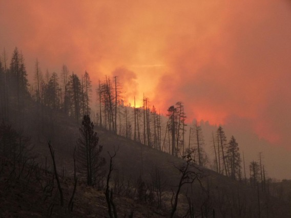 Photo of a forest fire occurring in a mountain landscape.