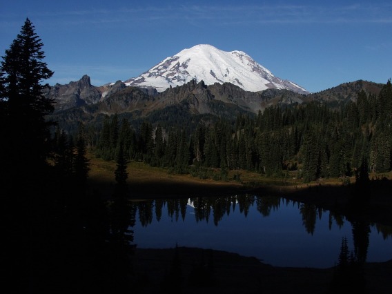 Photograph of Mt. Rainier and the surrounding forest landscape.