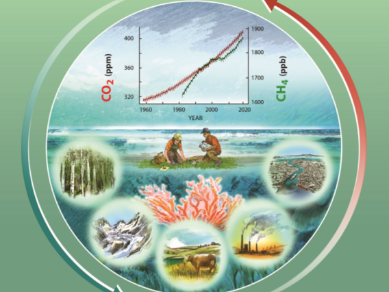 Illustrated image featuring illustrations of different aspects of nature (a forest, a mountain, a cow grazing, and a river) as well as an illustrated image of a factory and a graph showing carbon output into the atmosphere.