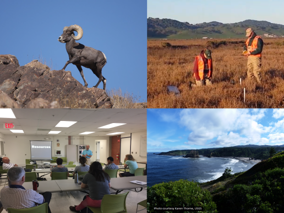 Collage of 4 photos in clockwise order from the top left: a ram climbing a mountain, two researchers gathering field data, a coastal view surrounded by a forest, a person giving a presentation to other people in a conference room.