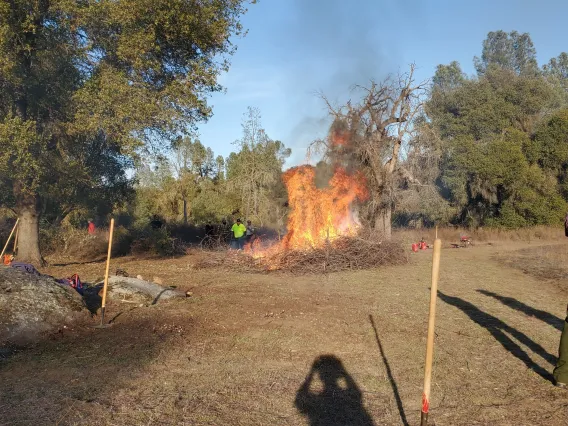 Traditional Burning