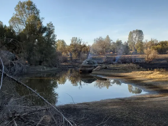 Image of Traditional under-burning practices used by Indigenous peoples.