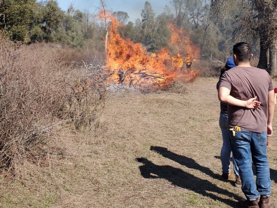 Two people stand in a grassy area watching Traditional Burning in action