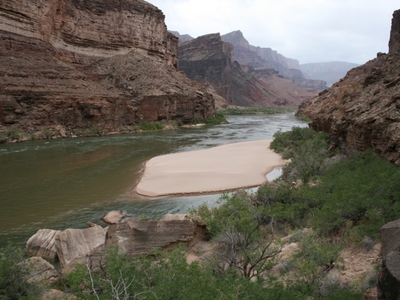 Grand Canyon River Sandbar