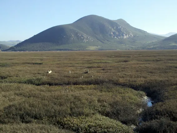 Photo of Morro Bay