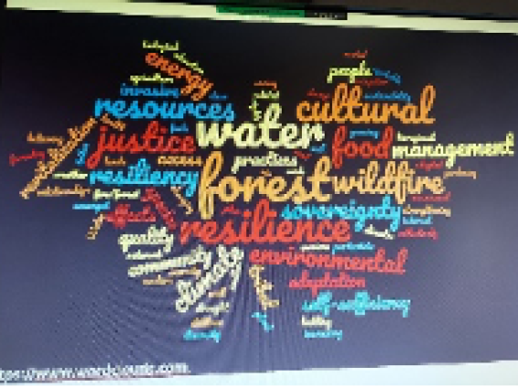 Tribes create word cloud to depict their climate concerns
