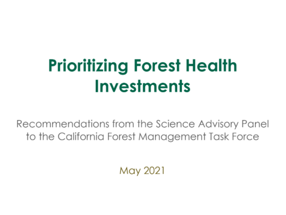 Screenshot of cover page for Prioritizing Forest Health Investments report.