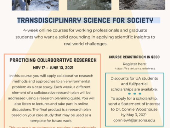 Flyer for Transdisciplinary Science for Society online course program.