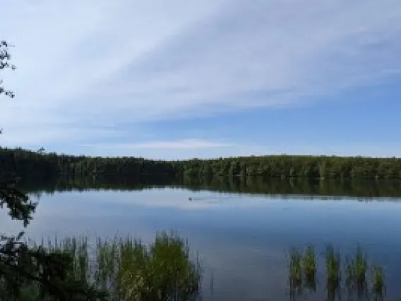 Corey Ziemann, Chequamegon-Nicolet National Forest