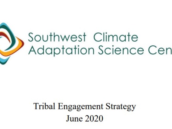 Tribal Engagement Strategy June 2020