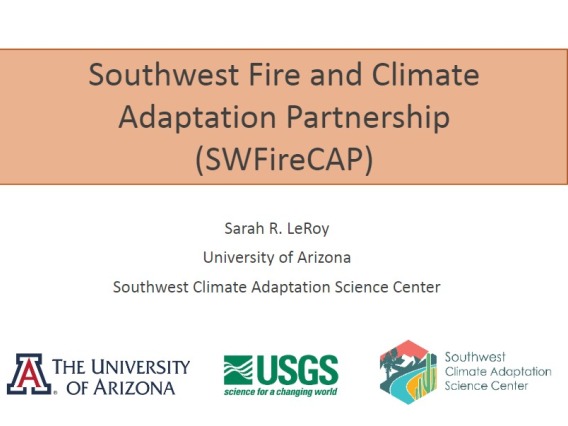 Sarah LeRoy - SWAF day 2 presentation