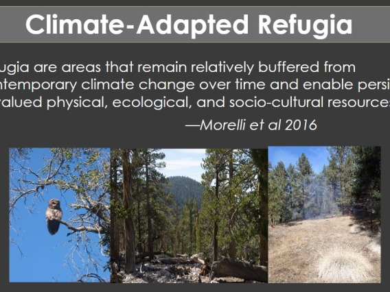 Climate-Adopted Refugia