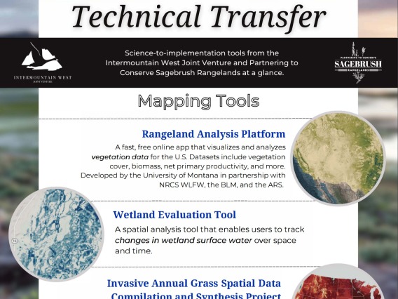 IWJV Sagebrush Technical Transfer