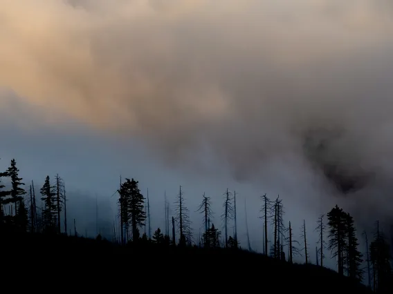 California Wildfire