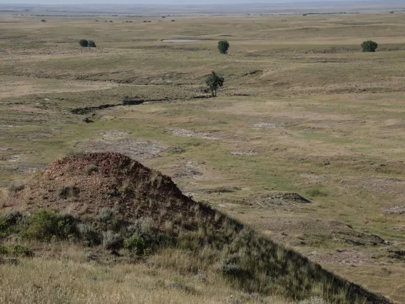 Photo taken of vast grasslands going for miles without end