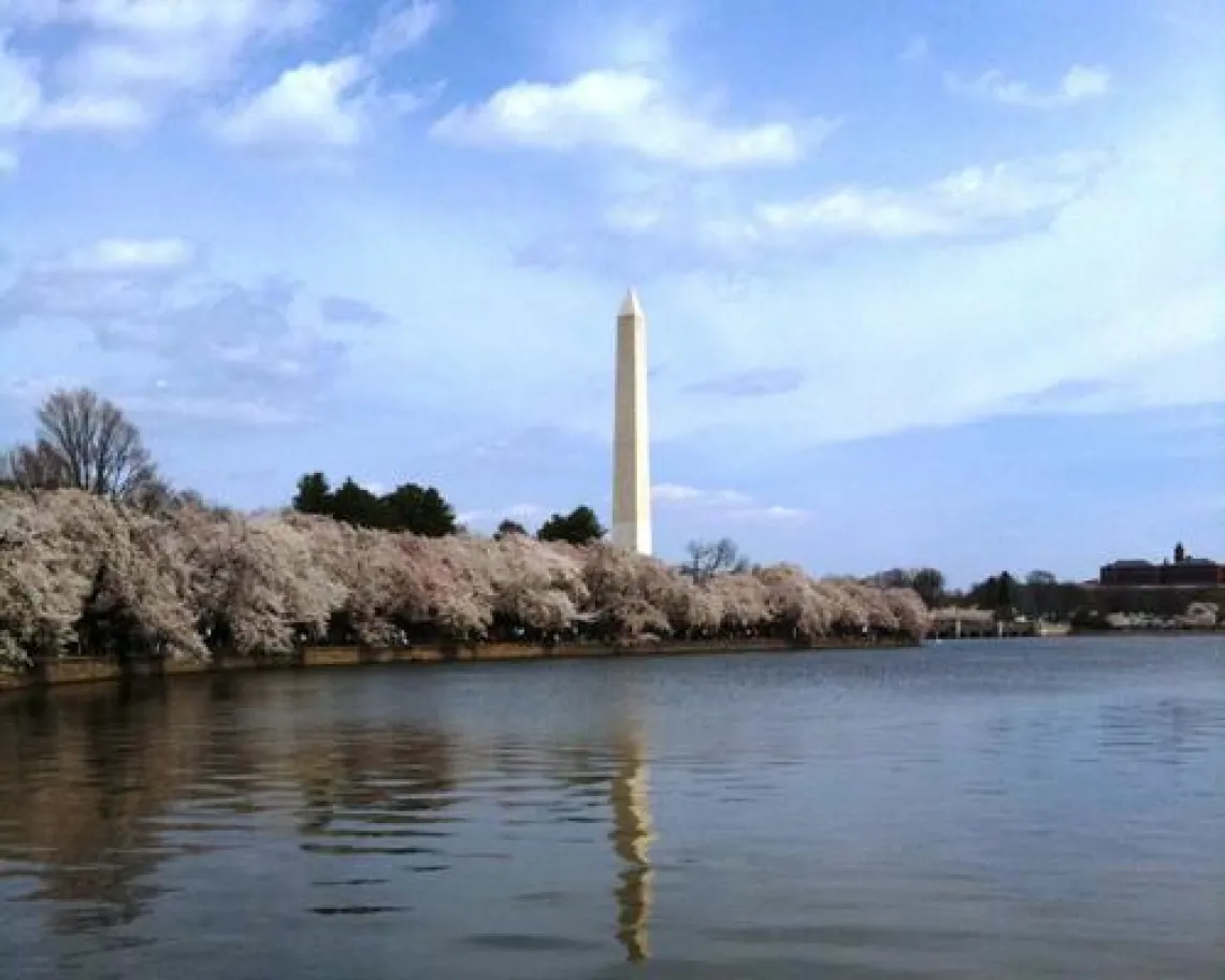 Photo of the Washington Monument in Washington, D.C. from near the Potomac River.