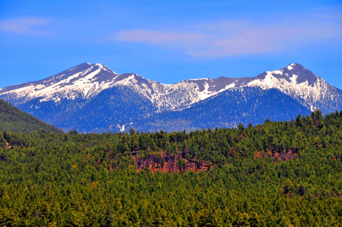 View of the mountains and forest landscape near Flagstaff.