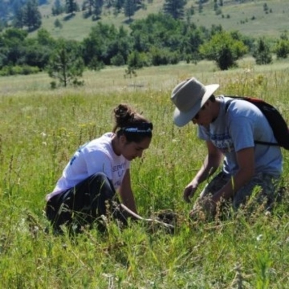 Two researchers working in a field.