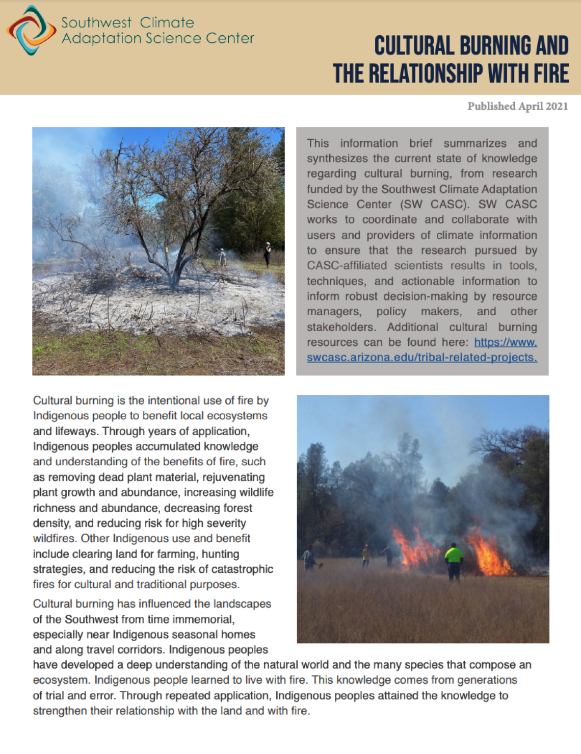 Screenshot of first page of Cultural Burning and the Relationship with Fire brief.