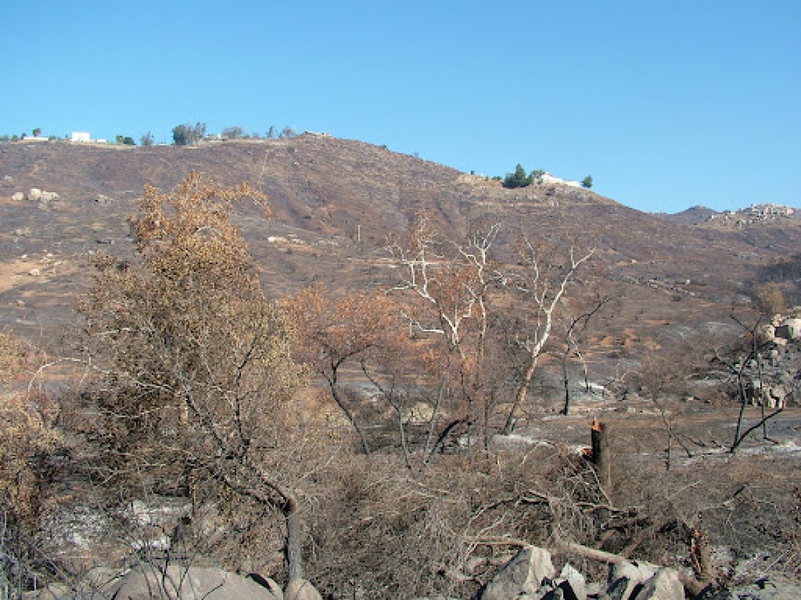Role of Rural Communities in the Western U.S. Wildfire Crisis
