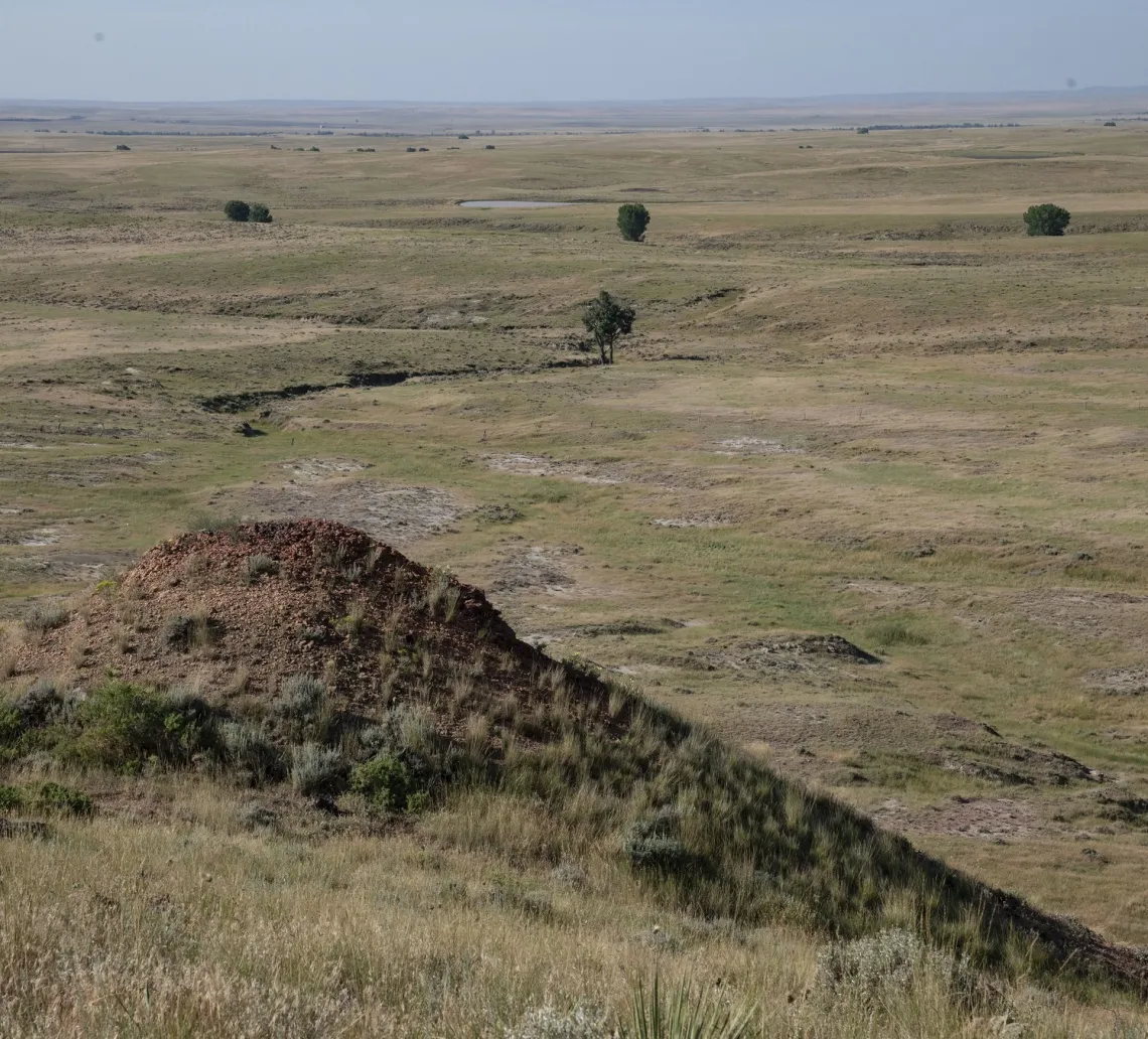 Photo taken of vast grasslands going for miles without end