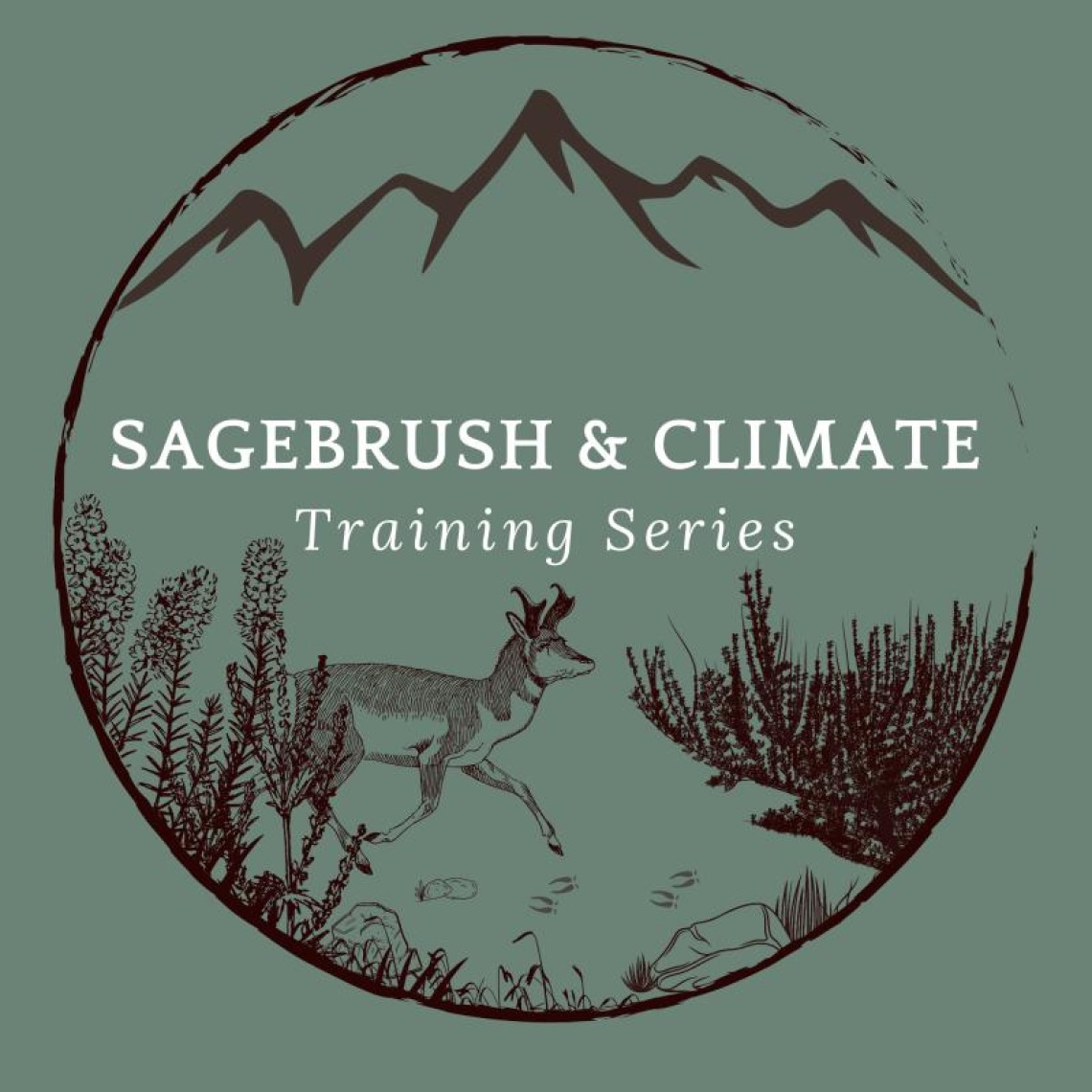Logo for Sagebrush and Climate Training Series