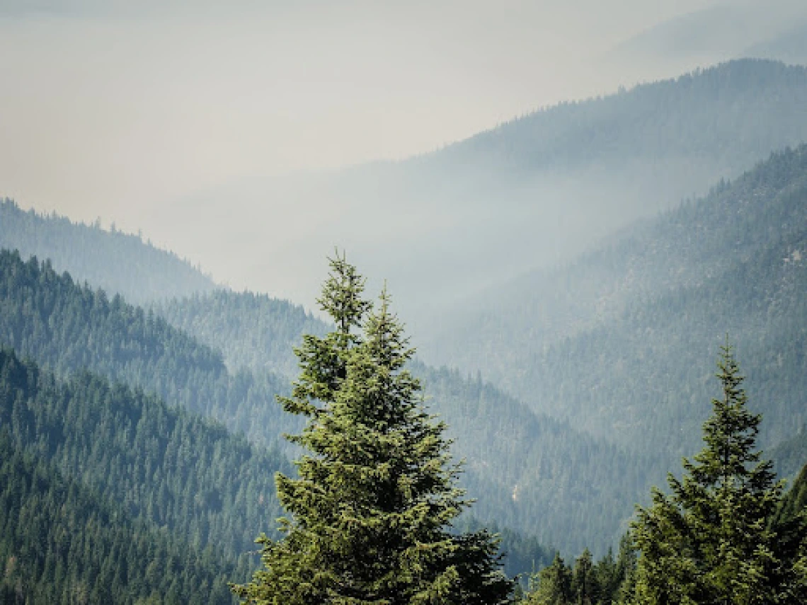Klamath National Forest