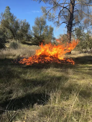 Anissa CUltural Burn 4