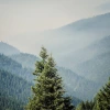 Klamath National Forest