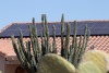 Solar panels in the desert southwest
